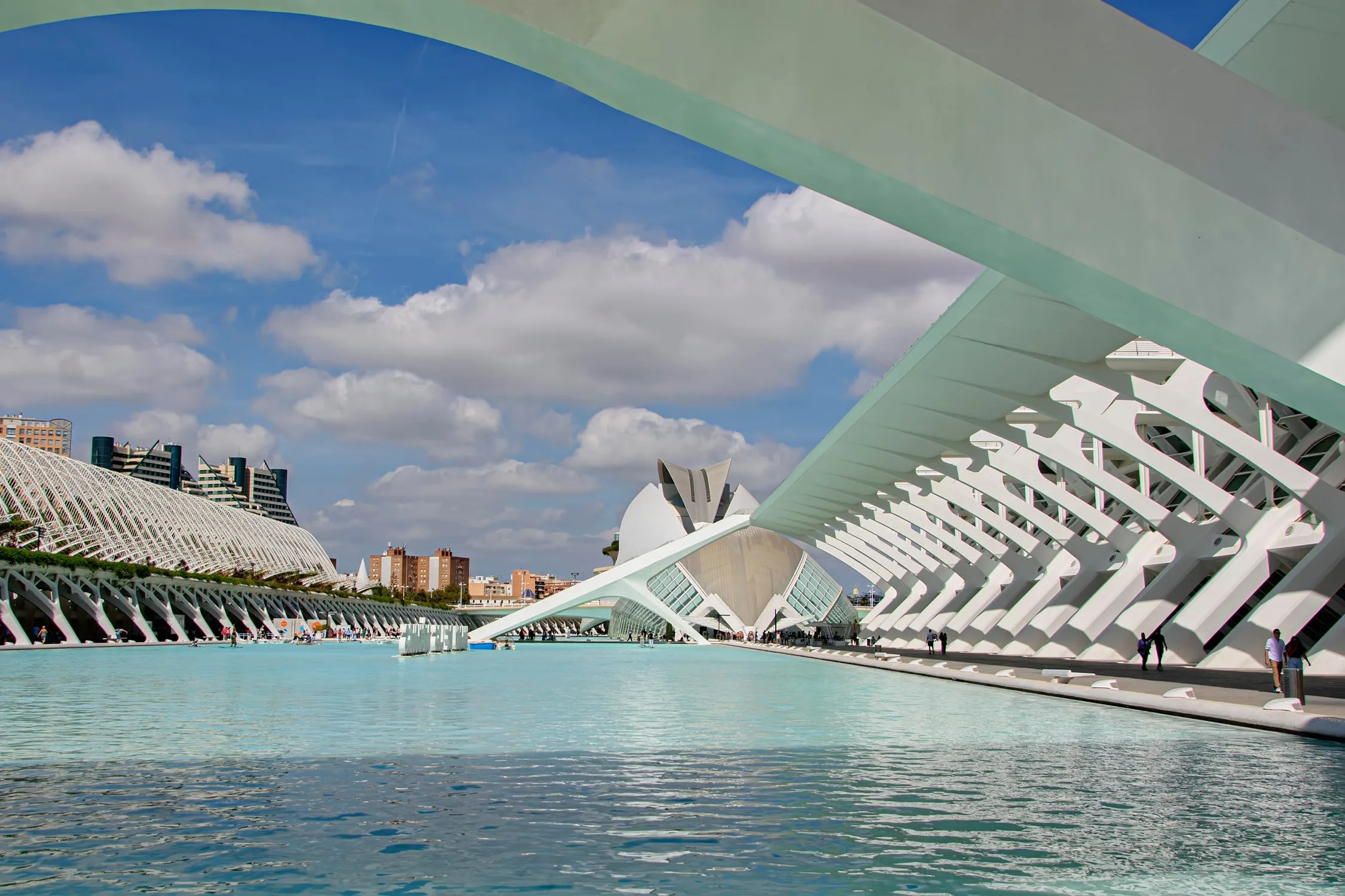 Ciudad de las Artes y las Ciencias de Valencia, fotografía en blanco y negro